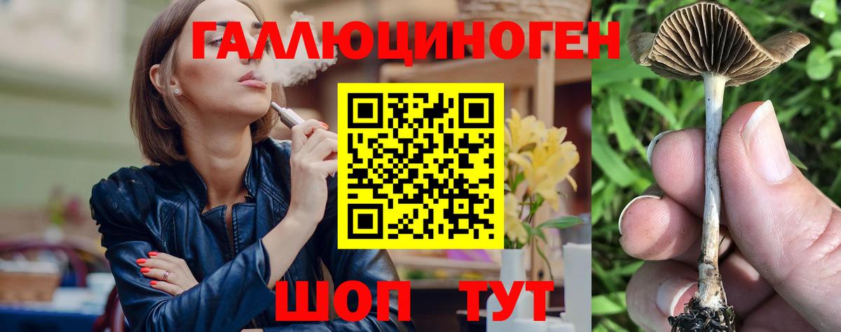 Галлюциногенные грибы GOLDEN TEACHER  Вход с VPN  Салават  Псилоцибиновые грибы Psilocybine cubensis 